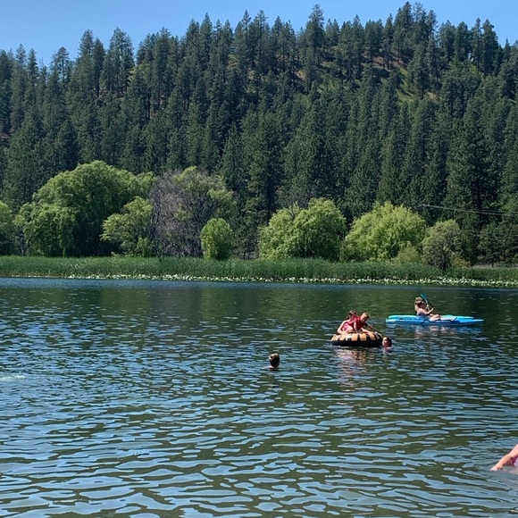 Meet your Posher, Robin - Picture 1 of 1